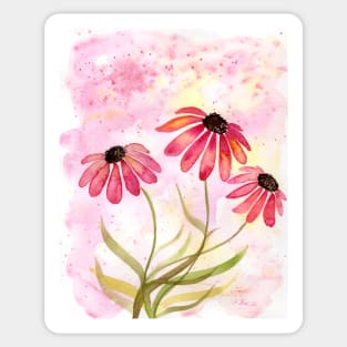 Coneflower Watercolor Illustration Sticker